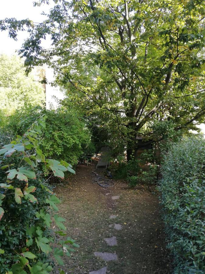 Room In Maisonette With Garden, Parking Place Viena Exterior foto